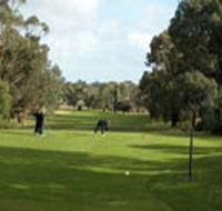 Mount Gambier Golf Club - Dalby Accommodation