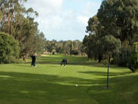 Mount Gambier Golf Club - Dalby Accommodation 0