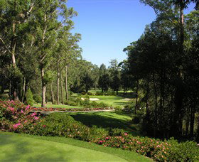 Mollymook Golf Club - Dalby Accommodation 2