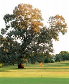Cowra NSW Dalby Accommodation