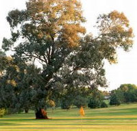 Cowra Golf Club - Dalby Accommodation