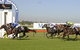 Kembla Grange Racecourse - Illawarra Turf Club - thumb 0