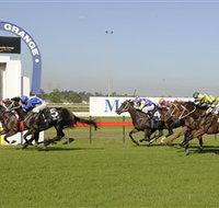 Kembla Grange Racecourse - Illawarra Turf Club - Dalby Accommodation
