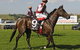 Kembla Grange Racecourse - Illawarra Turf Club - thumb 2