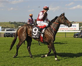 Kembla Grange Racecourse - Illawarra Turf Club - Dalby Accommodation 2