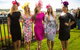Kembla Grange Racecourse - Illawarra Turf Club - thumb 4