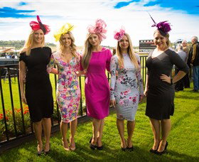 Kembla Grange Racecourse - Illawarra Turf Club - Dalby Accommodation 4