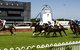 Kembla Grange Racecourse - Illawarra Turf Club - thumb 1