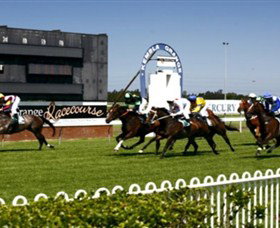 Kembla Grange Racecourse - Illawarra Turf Club - Dalby Accommodation 1