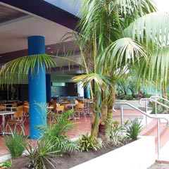 Club Forster - Dalby Accommodation 0
