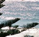 Bondi Social - Dalby Accommodation