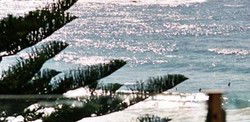 Bondi Social - Dalby Accommodation 0
