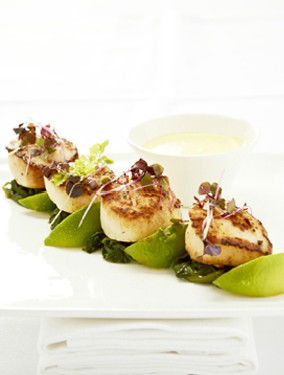 Medusa Greek Taverna - Dalby Accommodation 3