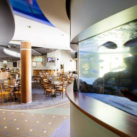 Pub Mooloolaba - Dalby Accommodation 4