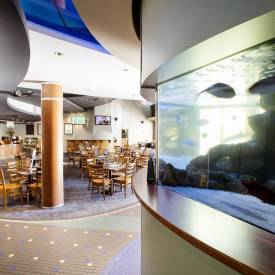 Pub Mooloolaba - Dalby Accommodation 3