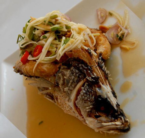 Mekong Thai–Lao Restaurant - Dalby Accommodation 1