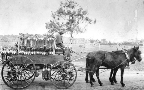 A Tale Of Two Villages - An Exhibition - Dalby Accommodation 1