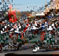 Australian Celtic Festival - Dalby Accommodation