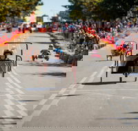 Australian Billy Cart Championships - Dalby Accommodation