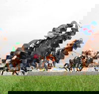 Christmas Cup Race Day - Dalby Accommodation