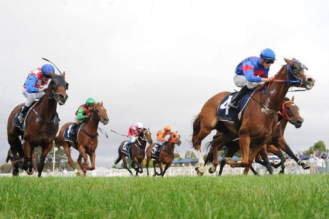 Christmas Cup Race Day - Dalby Accommodation 0