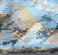 Dreams of Air and Flight - Dalby Accommodation