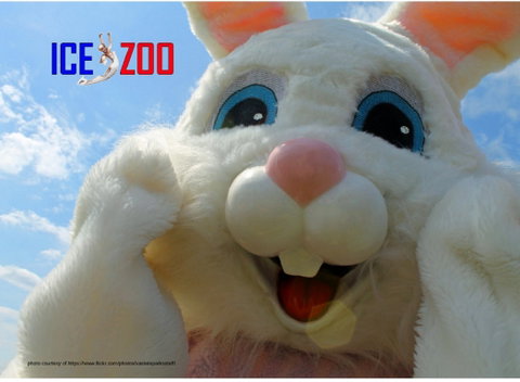 Easter Egg-stravaganza - Dalby Accommodation 0