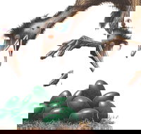 Edward the Emu - Dalby Accommodation