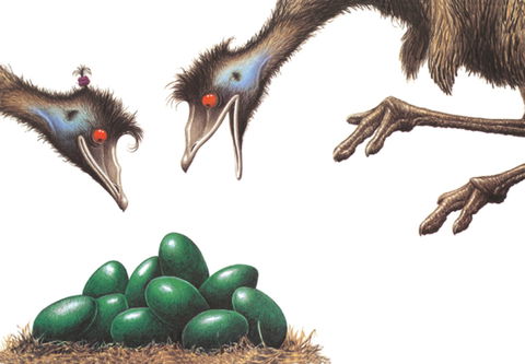 Edward The Emu - Dalby Accommodation 0