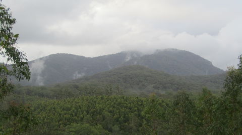 Elephant Trail Race - Dalby Accommodation 2