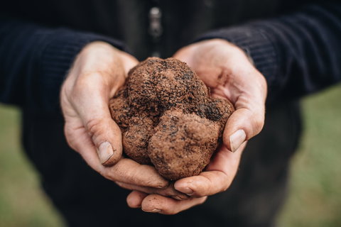 Feast And Forage - Craig's Royal Hotel - Dalby Accommodation 0