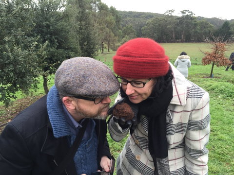 Feast And Forage - Craig's Royal Hotel - Dalby Accommodation 1