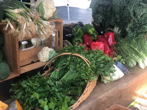 Friday Forage - Dalby Accommodation 1