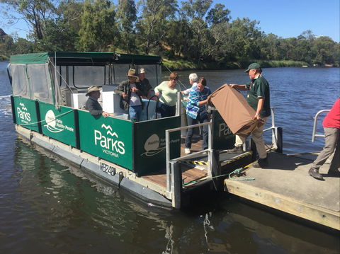 Herring Island Summer Arts Festival - Dalby Accommodation 1