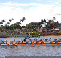 Jacaranda Dragon Boat Races - Dalby Accommodation