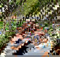 Leeton Sunrice Festival - Dalby Accommodation