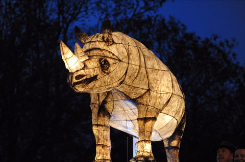 Macquarie Credit Union DREAM Festival - Dalby Accommodation 1