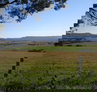 Milton Village Showground Markets - Dalby Accommodation