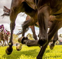 Night Markets and Race Day - Dalby Accommodation