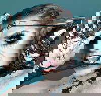 Reuben Kaye Comes Out to Play - Dalby Accommodation