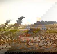 Rutherglen Gourmet Amble - Dalby Accommodation