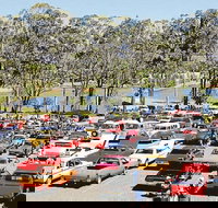 Spring Cruiz In - Dalby Accommodation