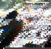 The Entrance Winter Blues and Jazz Festival - Dalby Accommodation