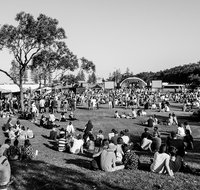Yours and Owls Festival - Dalby Accommodation
