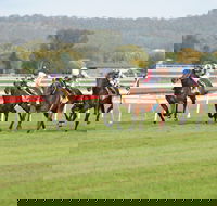 Aggies Race Day - Dalby Accommodation