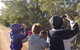 Annual Koala Count - thumb 1