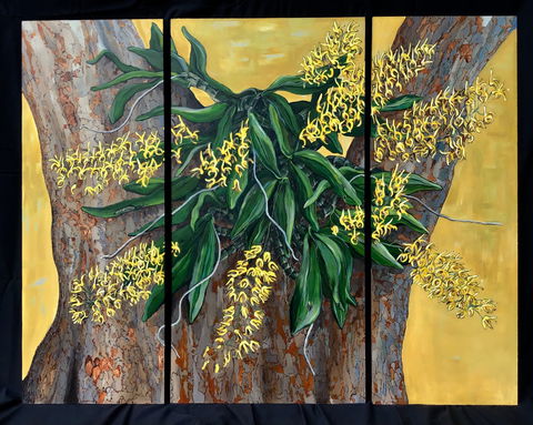 A Still Life - Solo Exhibition  Karen Sedaitis - Dalby Accommodation 1