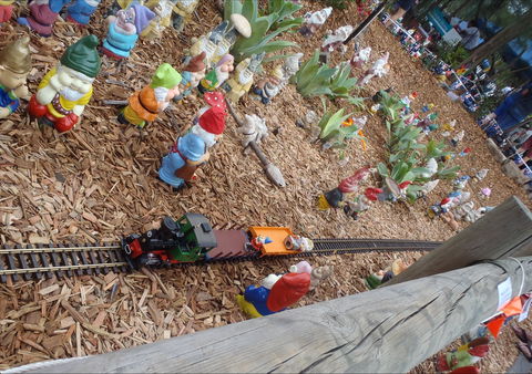 Australia Day With The Australian Gnome Convention Glenbrook - Dalby Accommodation 2