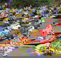 Australia Day Celebrations Gunnedah - Dalby Accommodation