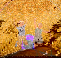 Christmas Lights Spectacular New Year's Eve at Hunter Valley Gardens - Dalby Accommodation